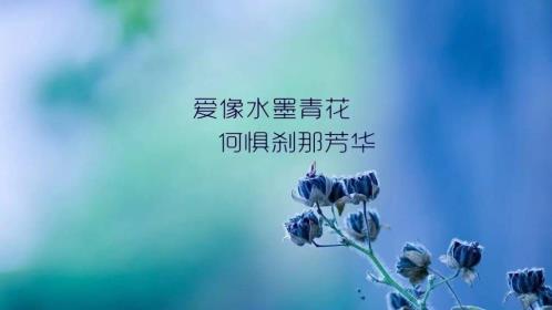 生活励志的句子简短句子[24句]