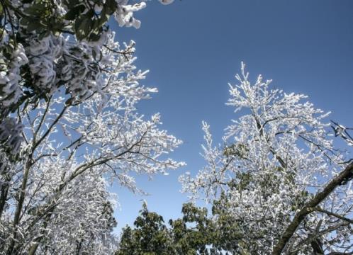 春节送领导短信大全(春节短信祝福语送领导)