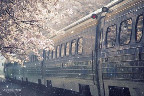 祝福语冬季(雪花带着快乐一同来舞蹈…)