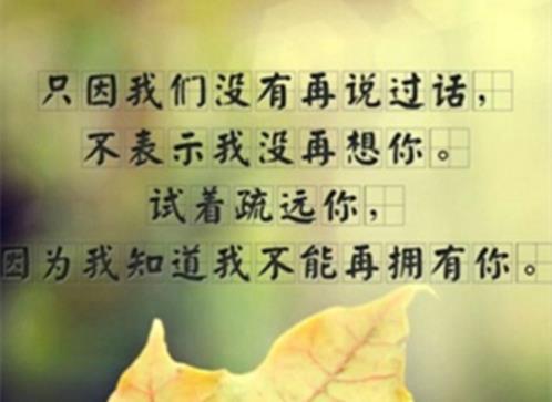 春节祝福语八字祝福语（升学祝福语大全简短10个字）