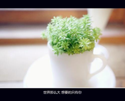 古风唯美伤感迷茫句子(古风伤感唯美句子)