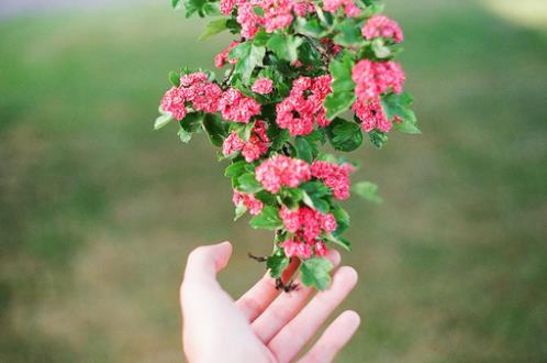 中秋节佛教祝福语大全