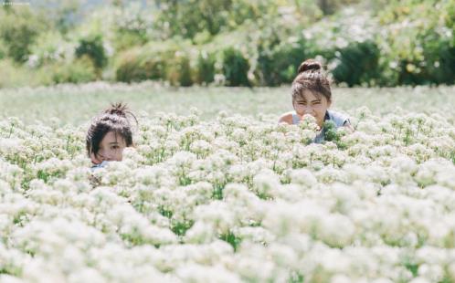 女生伤感说说心好累 心好累我想有个家说说[25句]