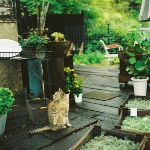 关于分享和奉献的名人名言