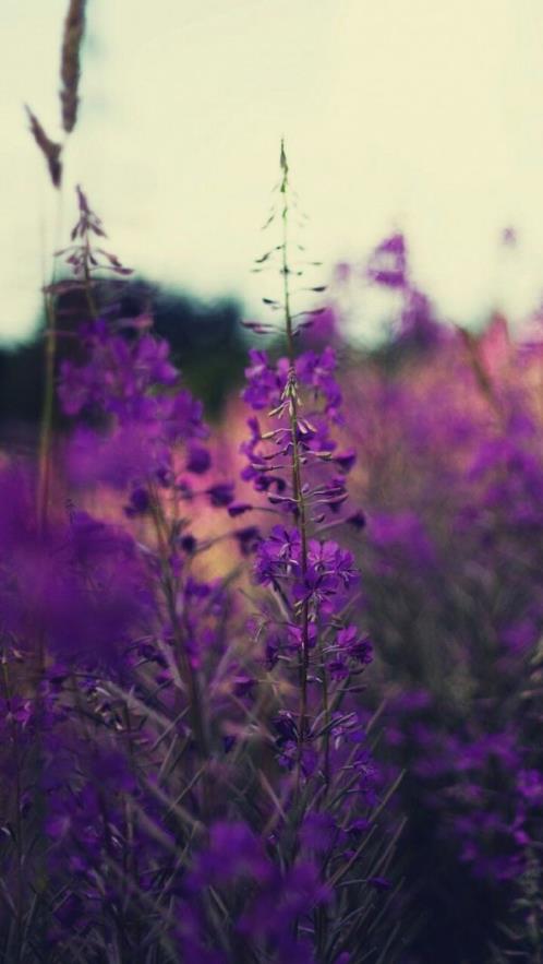 中秋节的优美短句 中秋节手抄报短句