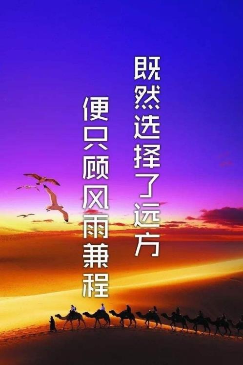 2023抖音个人励志简介