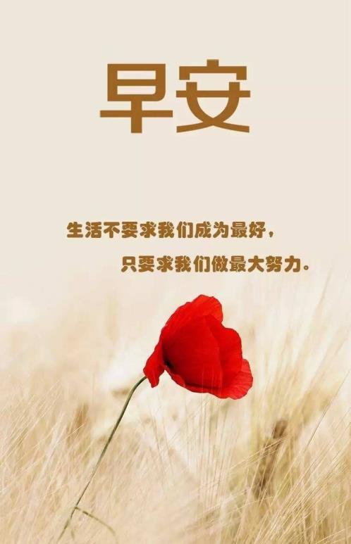 企业文化广告标语(物业公司企业精神)