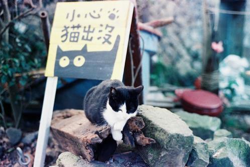 适合发朋友圈晚安心语