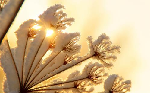 今年冬天天气 下雪天文案唯美