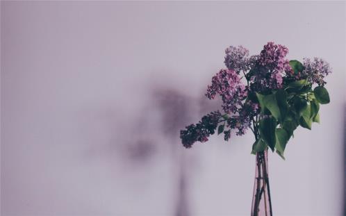 女人独立励志说说心情短语（女人受伤后坚强励志的心情说说）