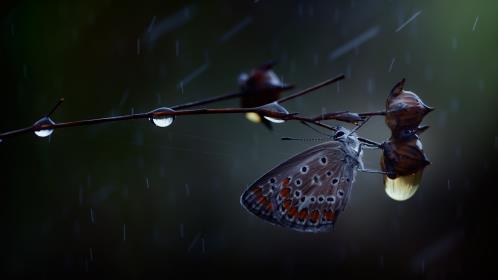 下雨心情低落的句子 朋友情绪低落安慰的句子